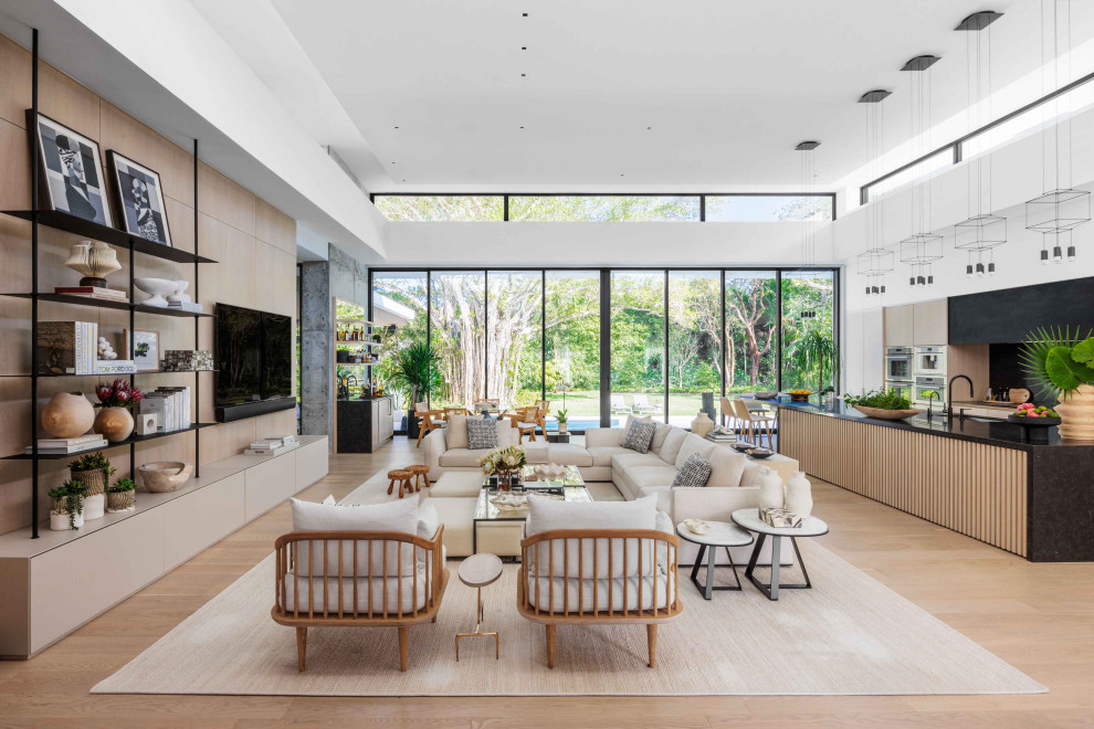 Living room - contemporary living room idea in Miami