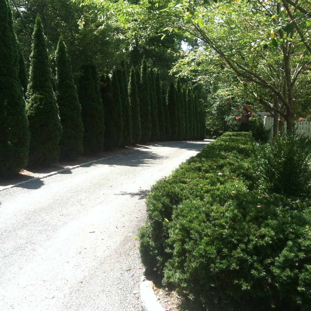Privacy Hedge