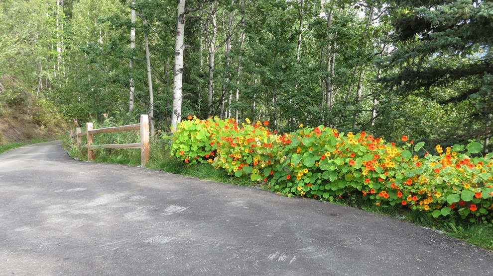 Design ideas for a large rustic full sun driveway.