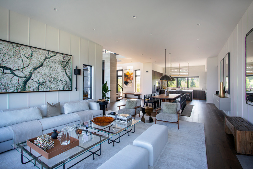 Contemporary Transitional Home