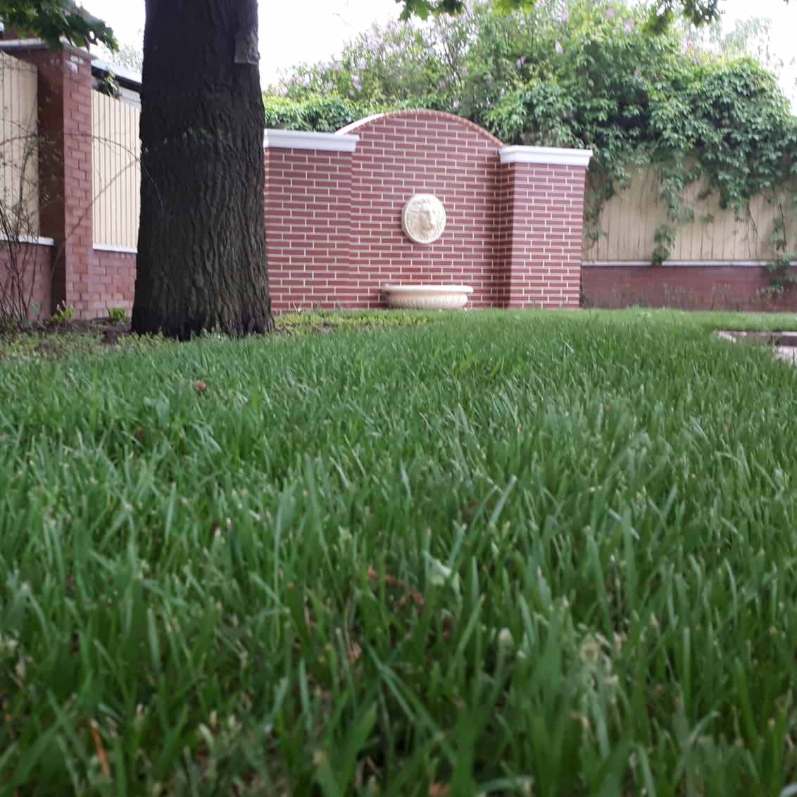 Фонтан с маскароном в Стрельне (Лен. обл.)