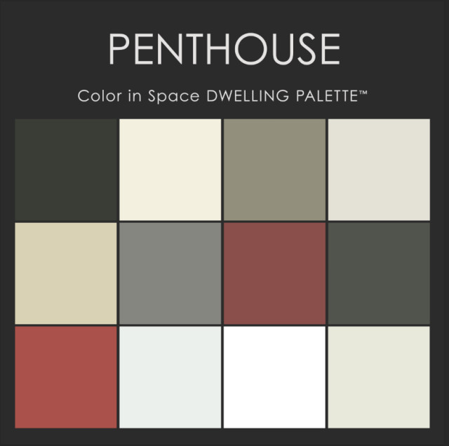 Color in Space Penthouse Paint Color Palette™