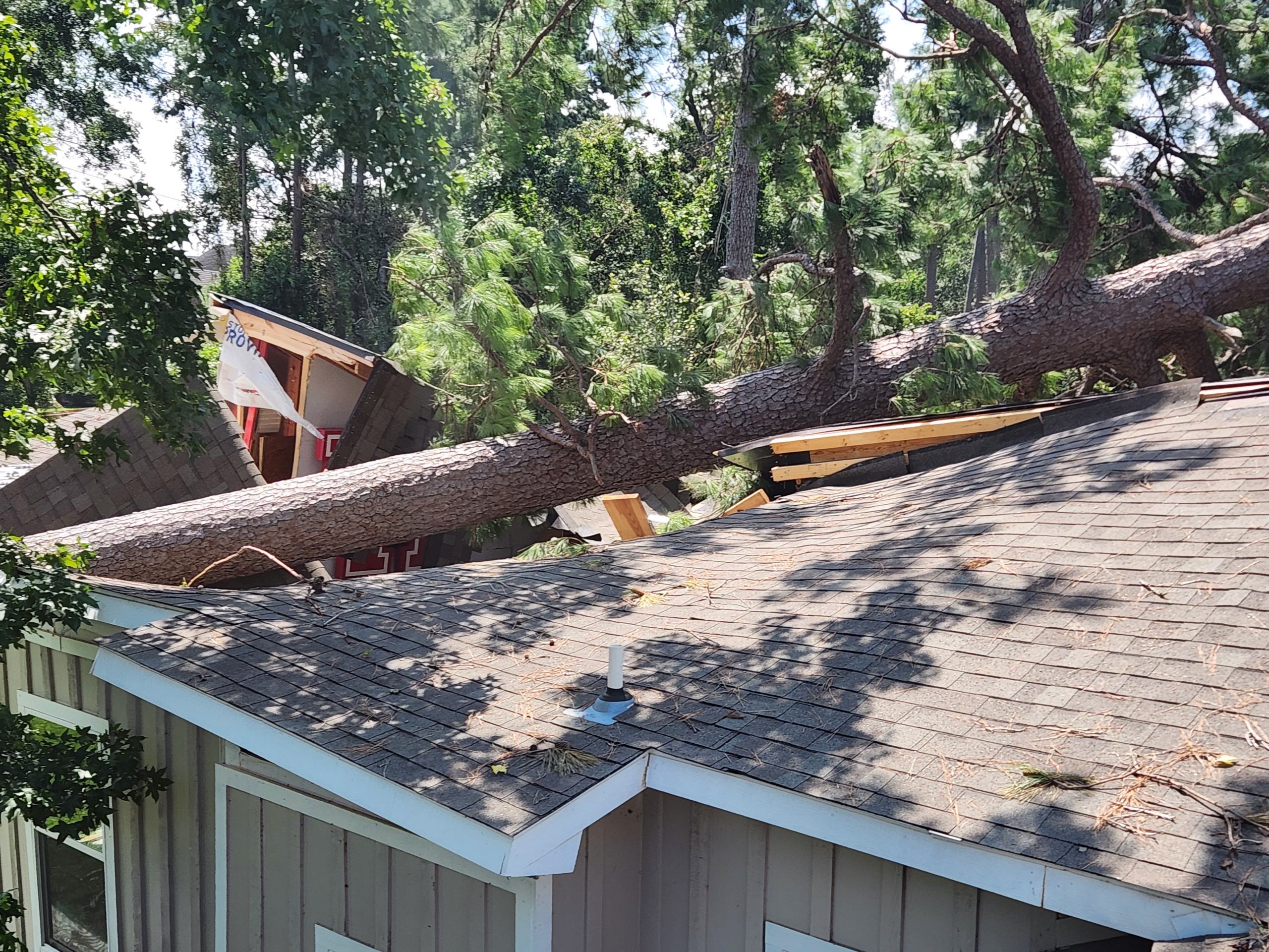 Full Tree Rebuild