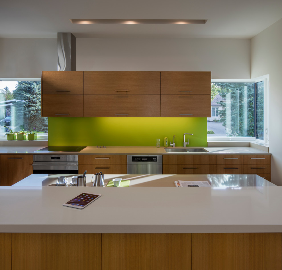 This is an example of a modern kitchen in Edmonton.