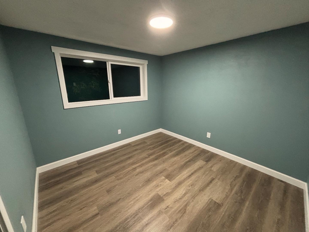 Basement Remodel