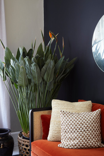 Houzz of 2018 transitional-living-room