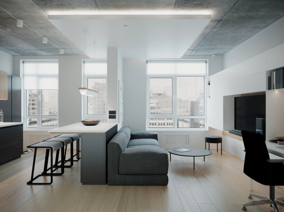 The studio apartment