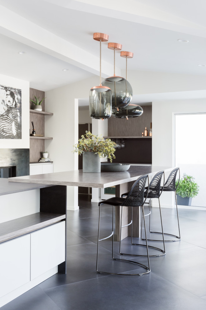 Mittelgroße Moderne Wohnküche mit weißer Wandfarbe, Porzellan-Bodenfliesen, Eckkamin, Kaminumrandung aus Metall, grauem Boden, gewölbter Decke und Wandpaneelen in Los Angeles