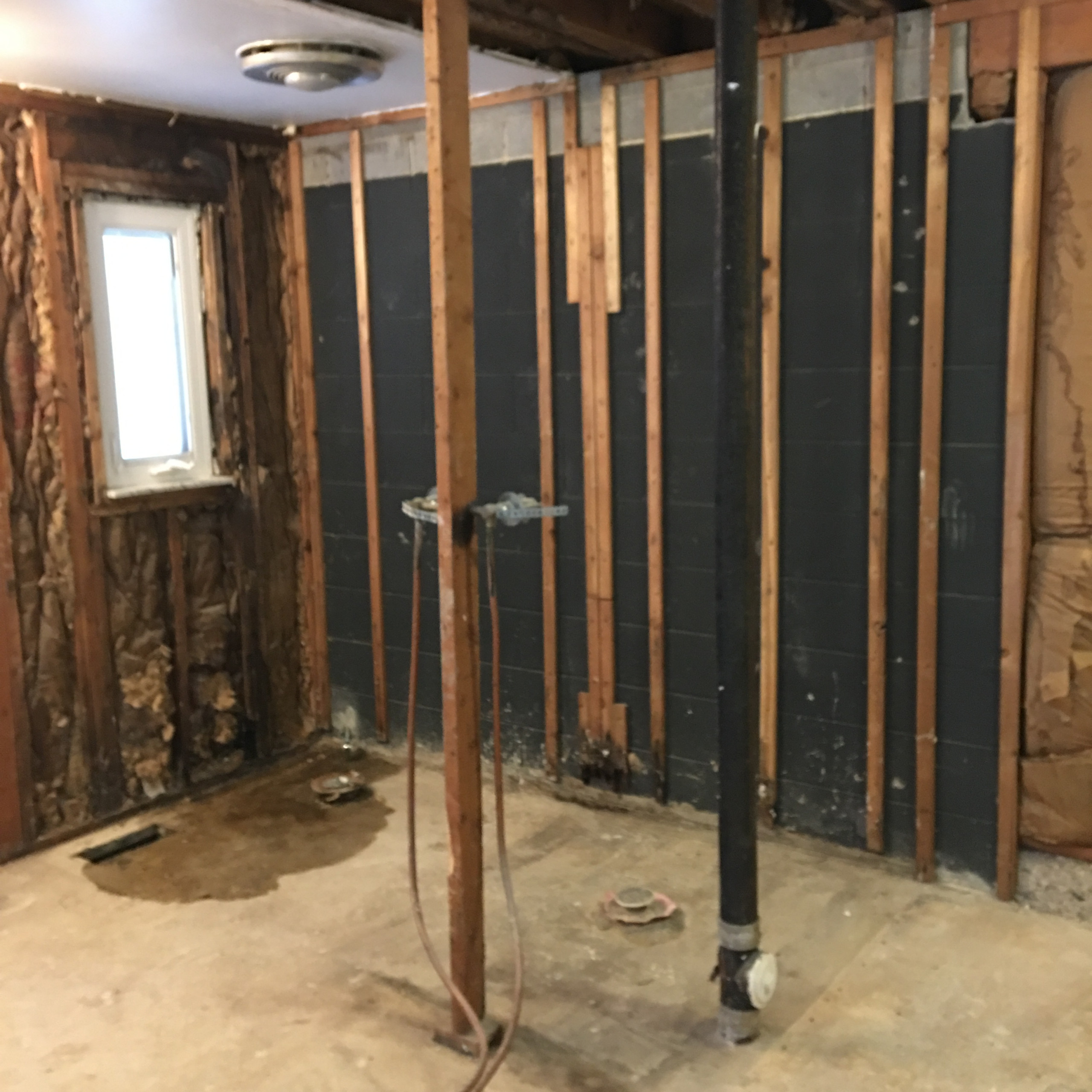 Custom bathroom and back room workout/pet room