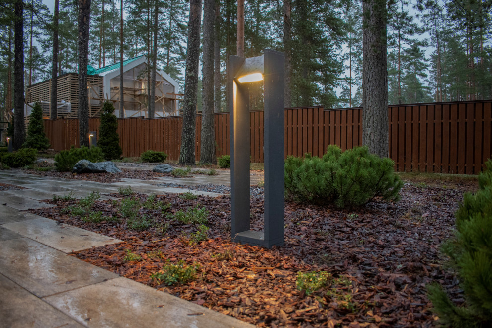 Проект "Волшебное озеро"