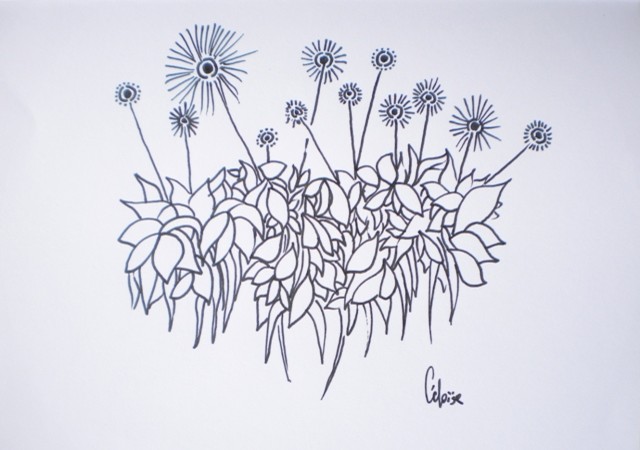 VEGETAL classique