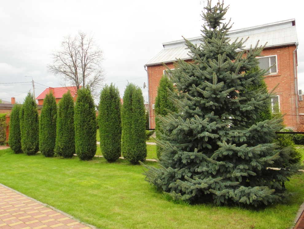 Ландшафт участка у озера