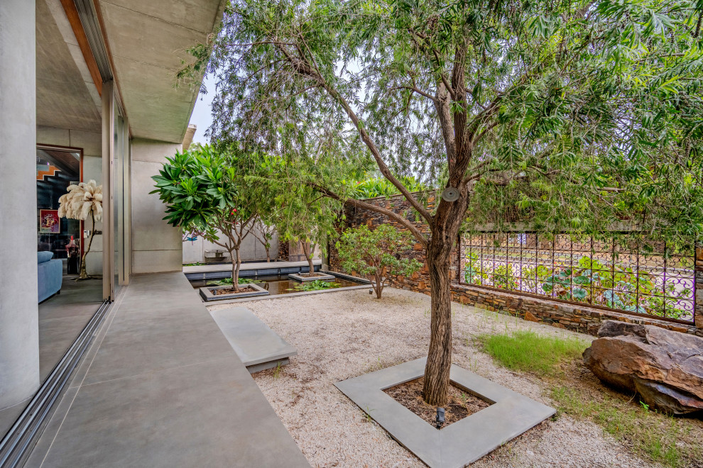Inspiration for a contemporary garden in Delhi.