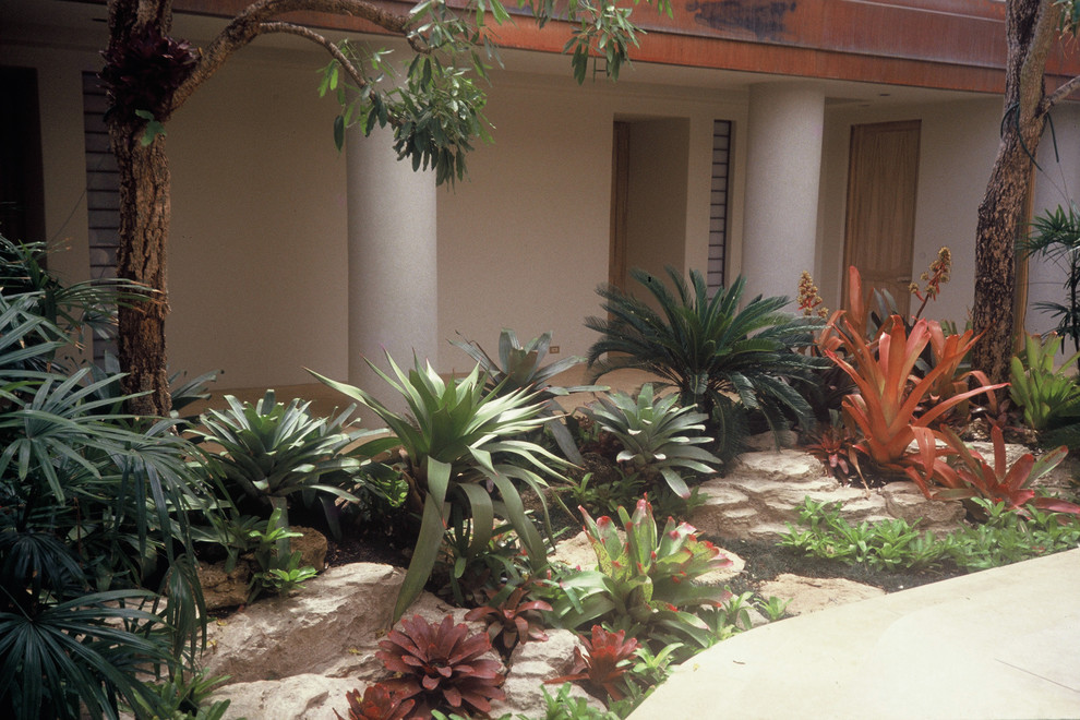 Gardens of Hawaii Tropical Landscape Hawaii by STEPHEN HAUS LLC