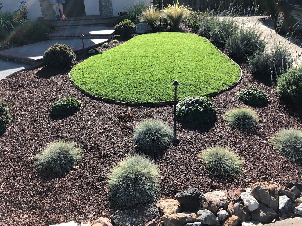 Front Yard Landscape & Planters