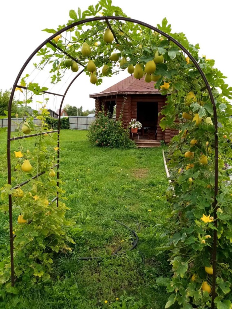 Идеи оформления арок "Найди"