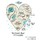 Last commented by Sanjana New Delhi 11b