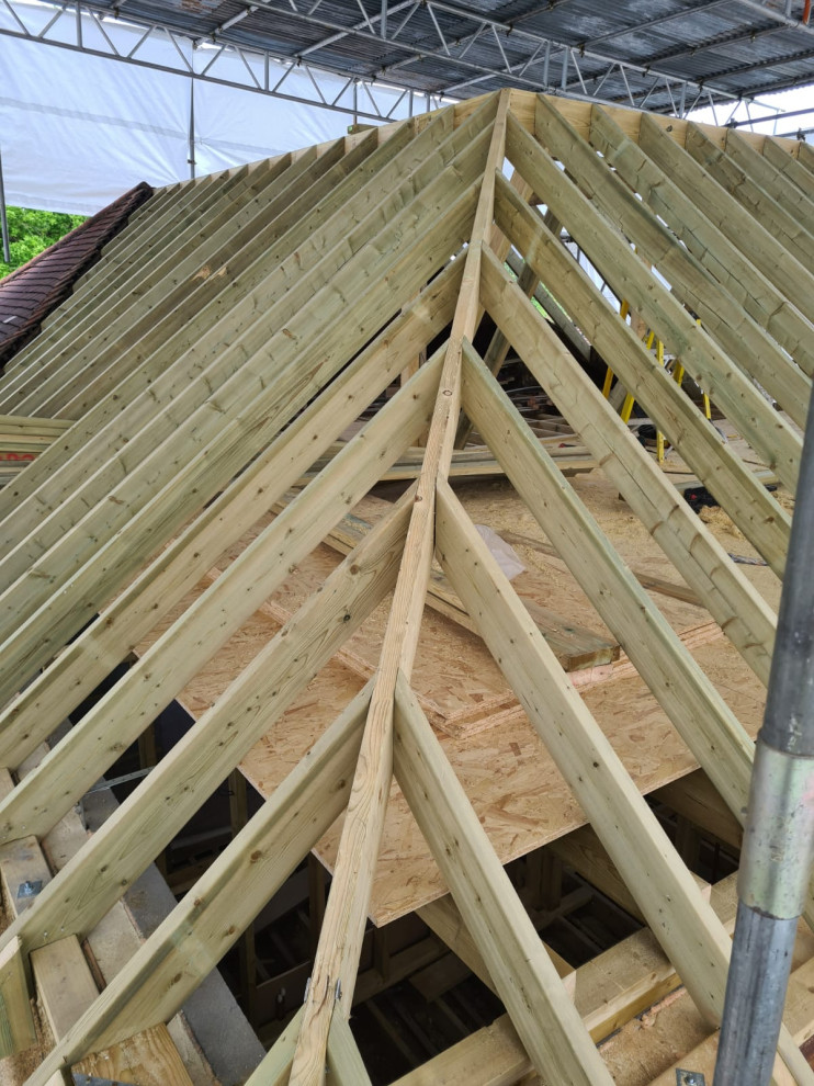Roof in Progress
