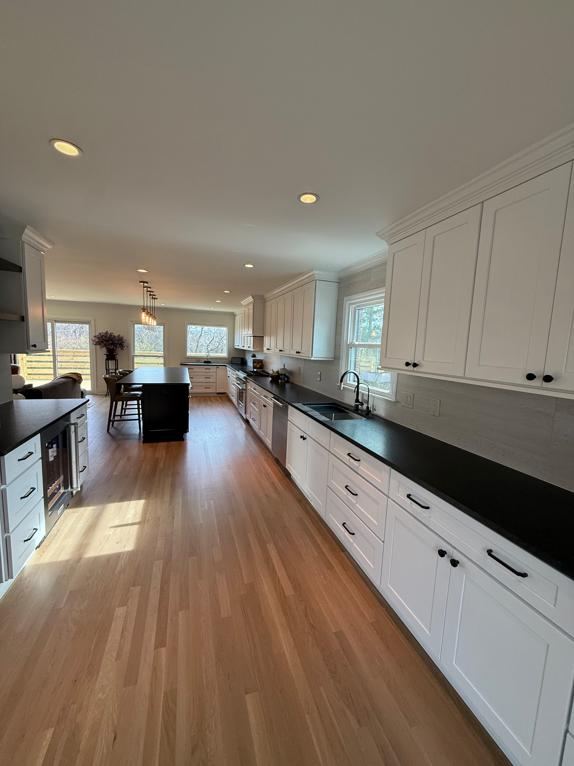 Franklin Complete Kitchen and LR Reno