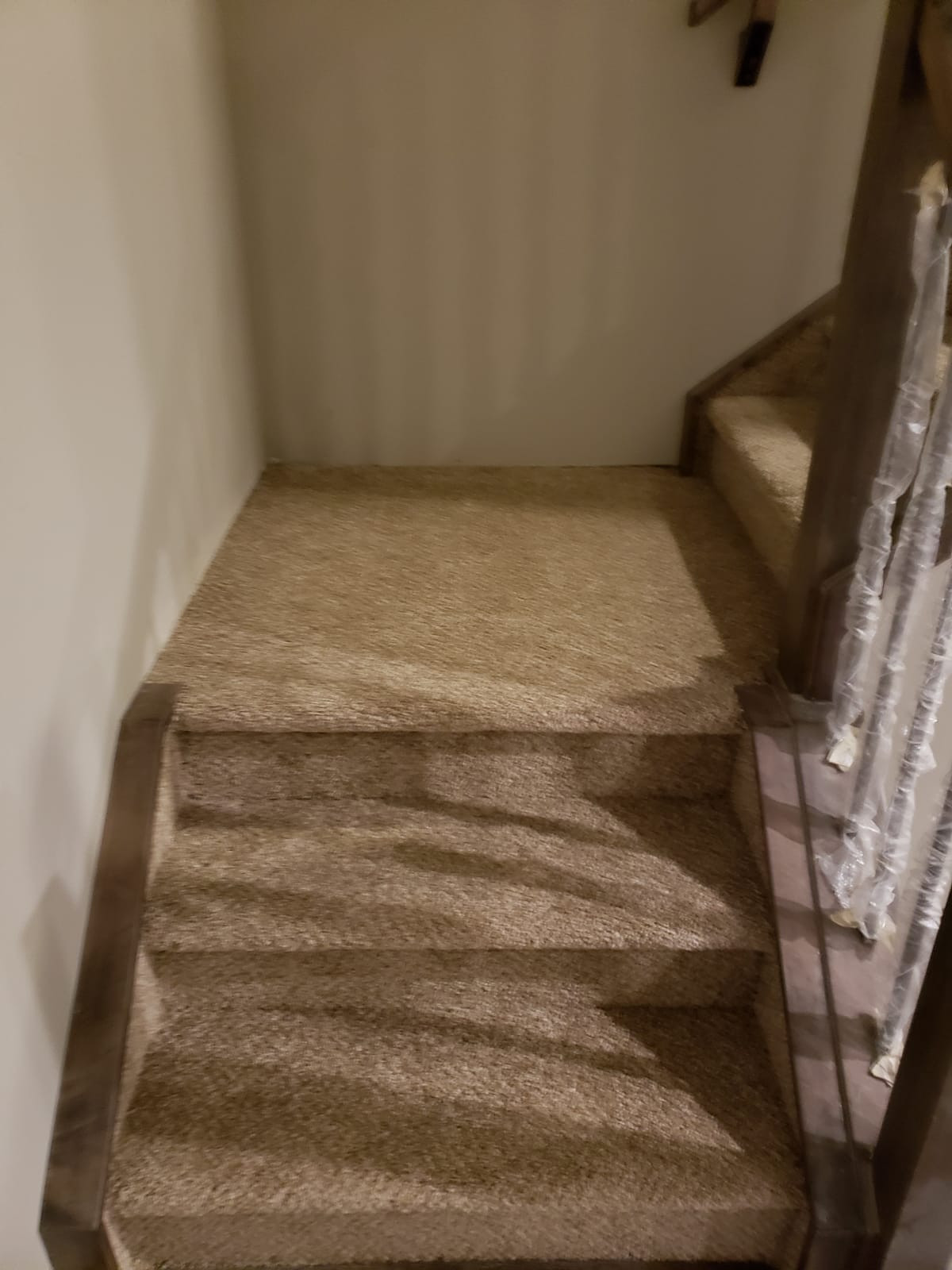 Carpet