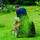 HD Lawncare and Irrigation