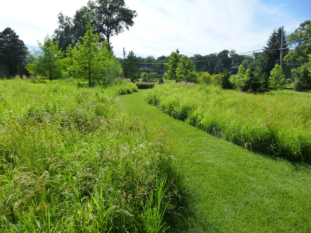 Photo of a country garden in Philadelphia.