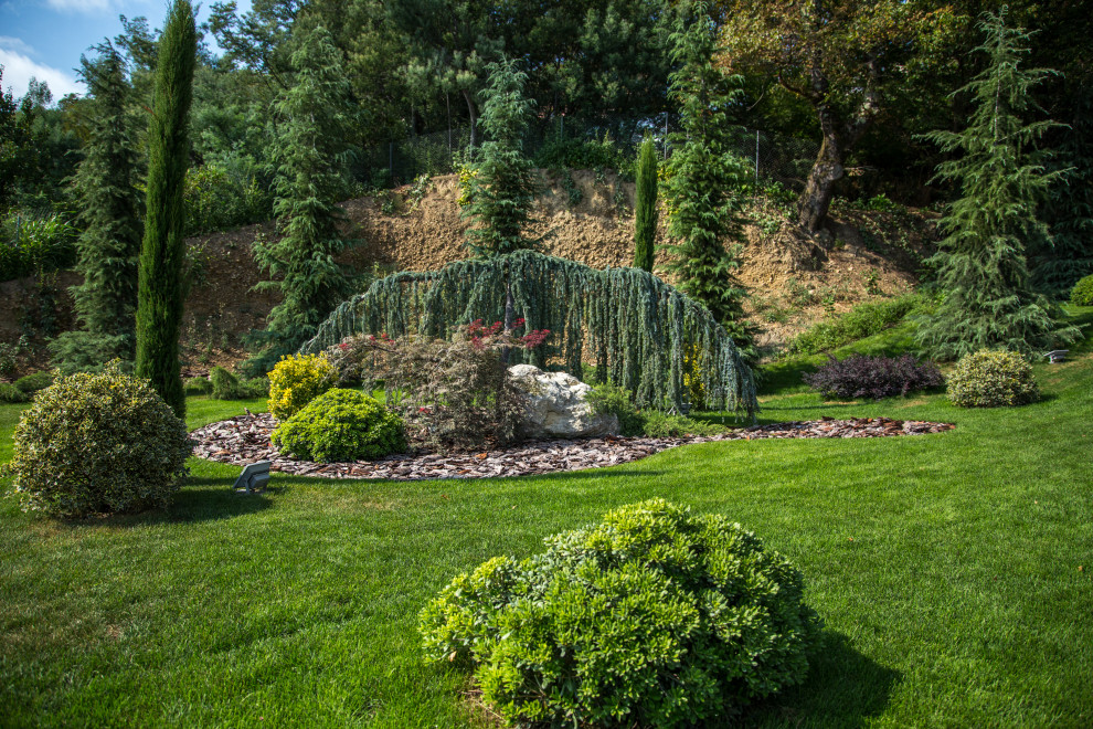 Сириус Сочи