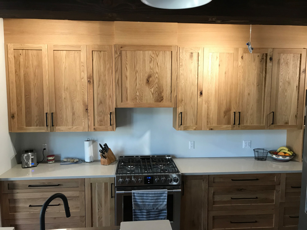 Transitional kitchen photo in Toronto