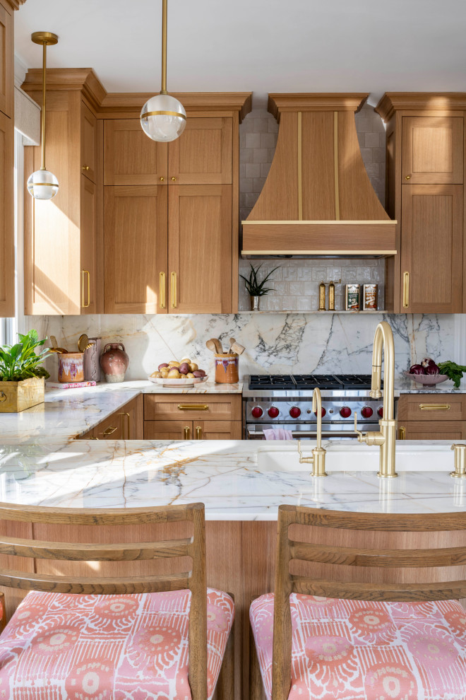 Kitchen - transitional kitchen idea in Chicago
