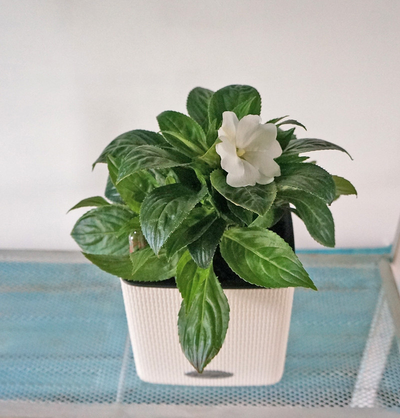 Балкон в голубых тонах