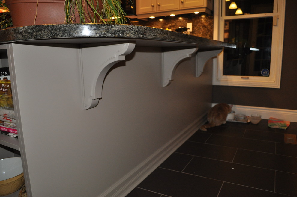 Kitchen - transitional kitchen idea in Toronto