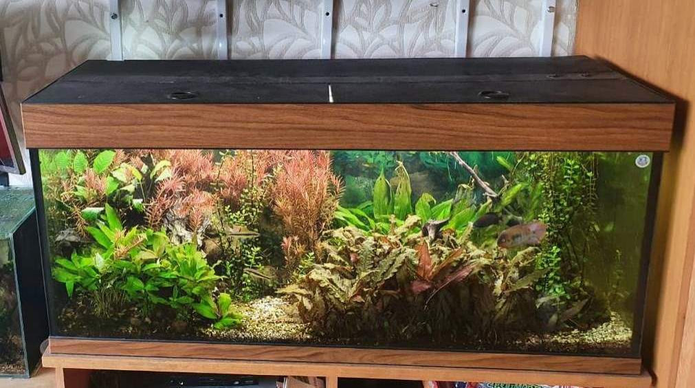 Природный аквариум