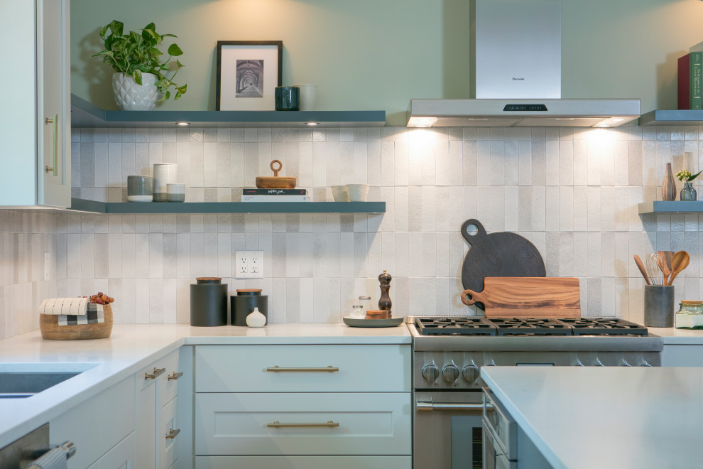 Kitchen - transitional kitchen idea