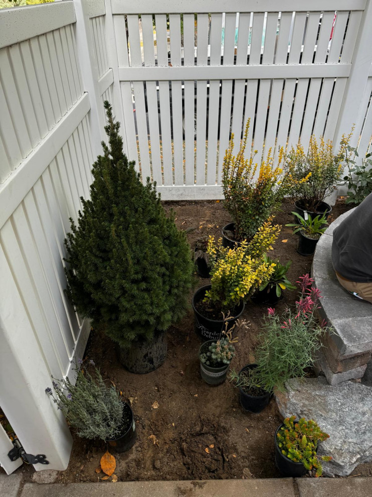 English influence garden