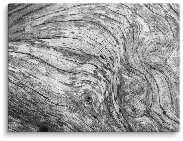 Black & White Coastal Wall Art: Driftwood Texture 2 Photo Canvas, 12