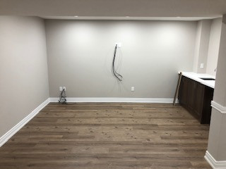 Example of a transitional basement design in Toronto