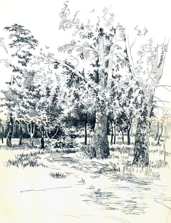 Мои черно-белые рисунки