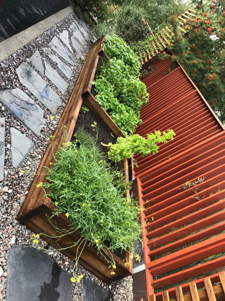 гравийный сад "История на склоне"