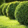 Greenscapes Lawn Services & Landscape Design