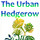 The Urban Hedgerow
