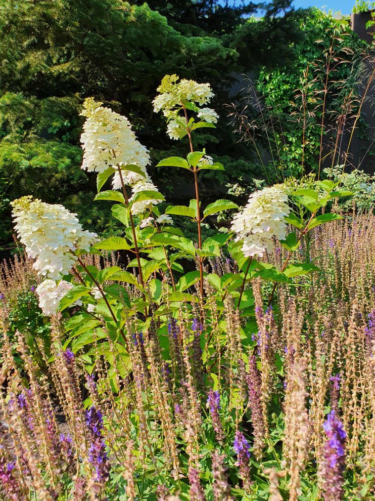 Частный сад в г.Самара