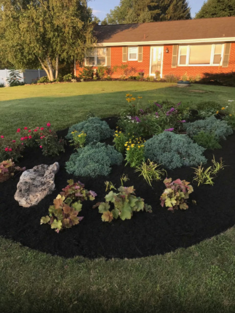 Softscape Projects