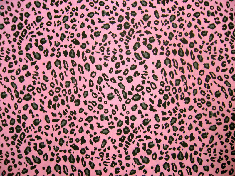 SheetWorld Fitted Cradle Sheet - Pink Leopard - Made in USA