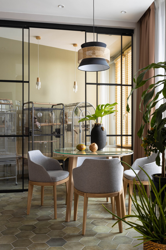 квартира с попугаями