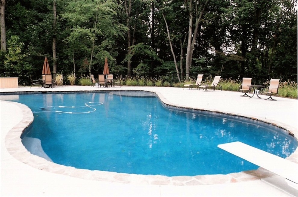 Mid-sized backyard concrete paver and custom-shaped lap pool photo in Baltimore