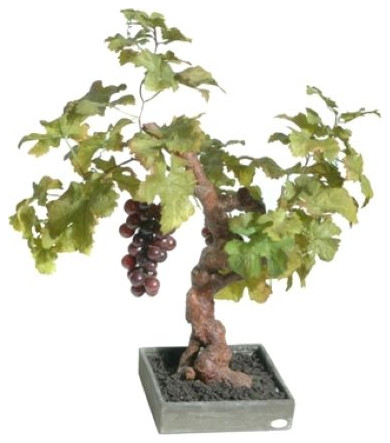Grape Bonsai Tree Pot