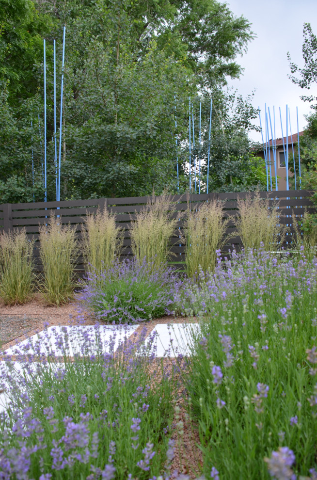 This is an example of a contemporary garden in Denver with concrete pavers.