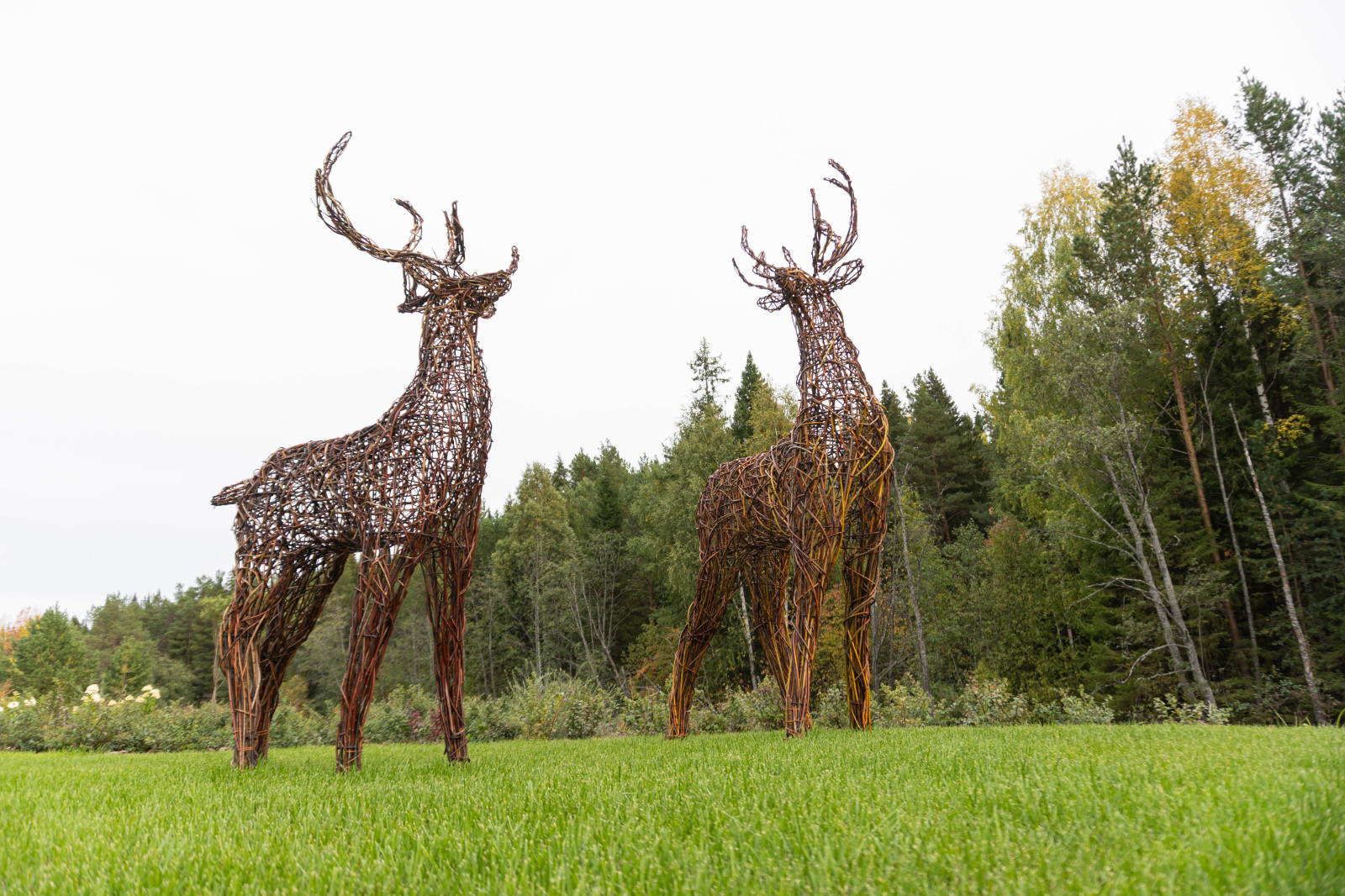 На берегу очень тихой реки
