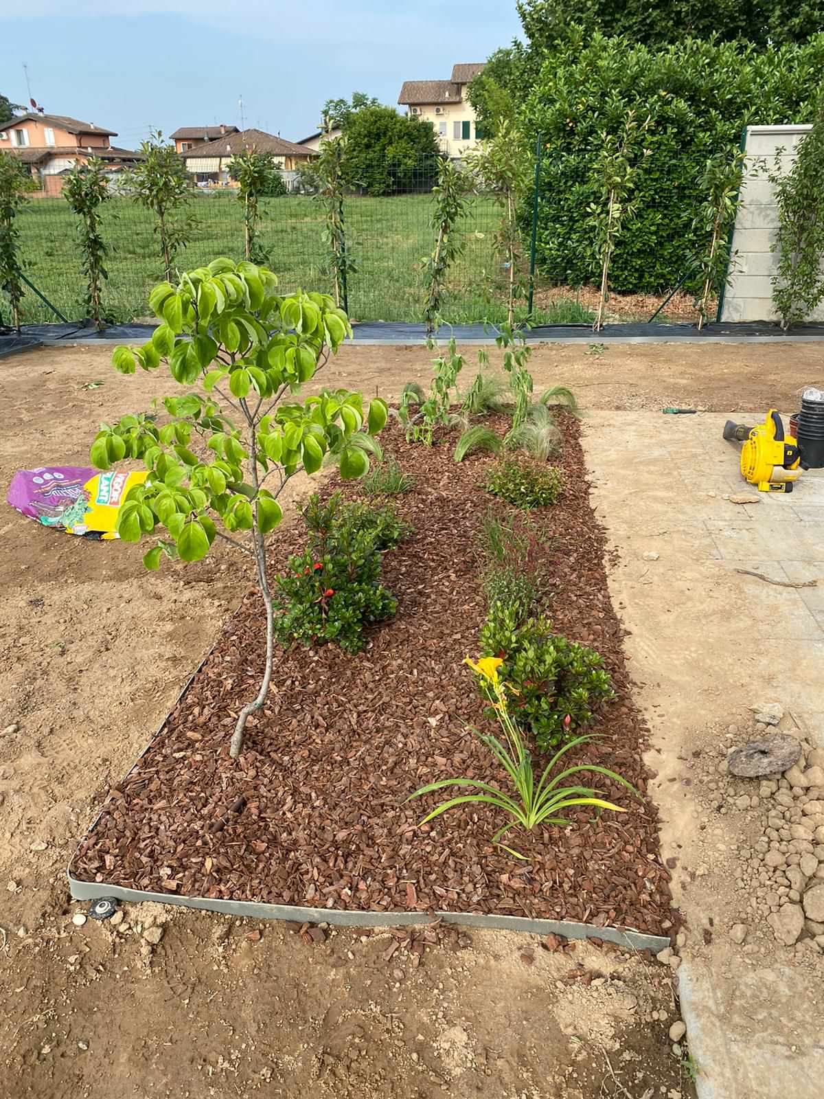 Realizzazione Giardino per villa moderna