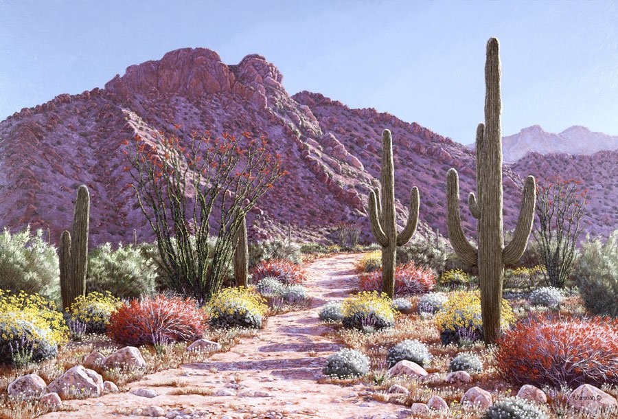 Desert In Bloom Wall Art